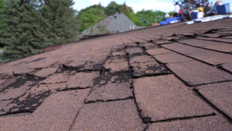 Best Emergency Roof Repair Services  in Piedmont, CA